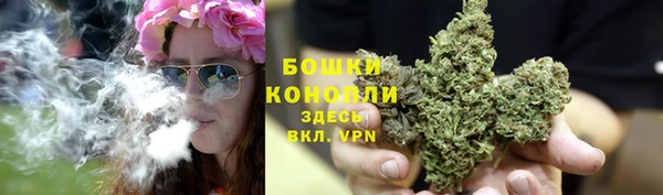 эйфоретик Бородино