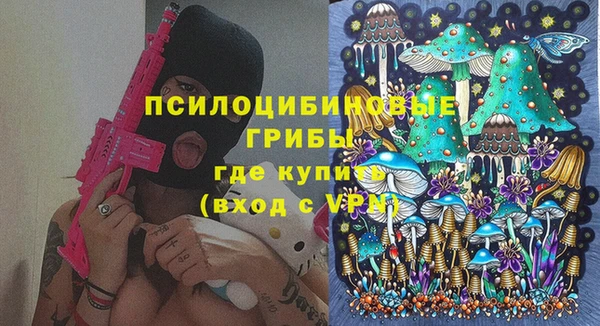 эйфоретик Бородино