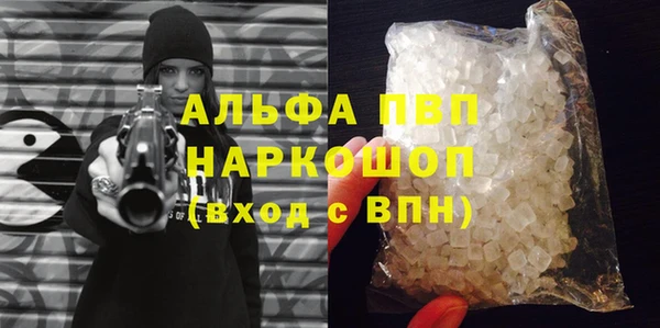 эйфоретик Бородино