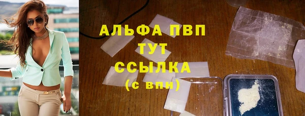 эйфоретик Бородино