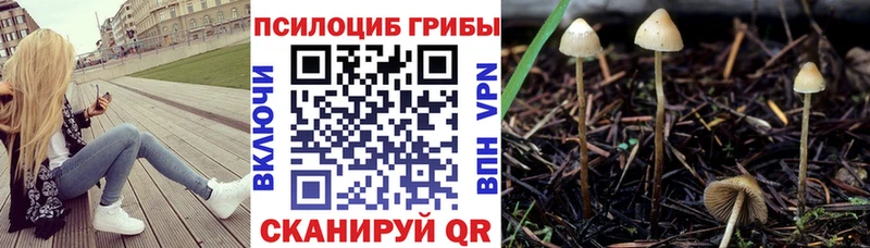 Псилоцибиновые грибы Cubensis  MEGA как войти  Электрогорск  сколько стоит 
